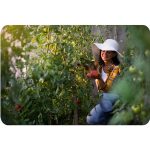 Теплиця садова 2 x 3 м (6 м²) рожевий Plonos - Стильна і практична - Зображення 12