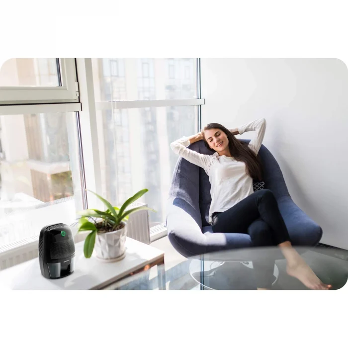 Осушувач повітря - вологопоглинач Berdsen BR-50B, чорний - Зображення 2