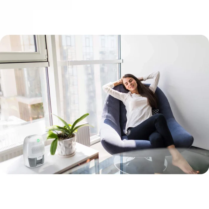 Осушувач повітря - поглинач вологи з автомобільним адаптером Berdsen BR-50B білий - Зображення 5