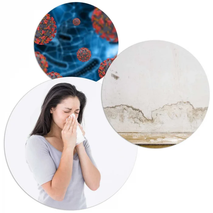 Осушувач повітря - вологопоглинач Berdsen BR-75B білий - Зображення 11