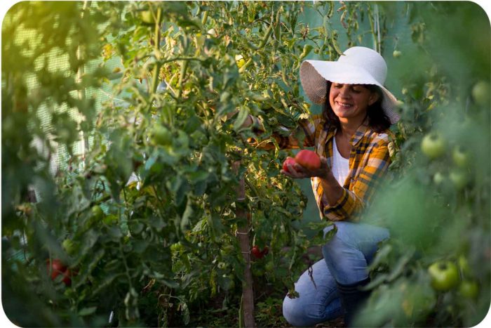 Посилений садовий тунель 2 x 3 м (6 м²) Plonos - Міцна конструкція для захисту - Зображення 5