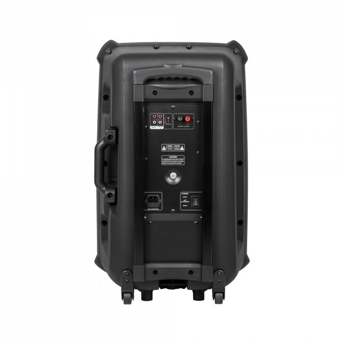 photo_15494 Портативна аудіосистема Azusa MIK0134EU з двома мікрофонами - Зображення 2