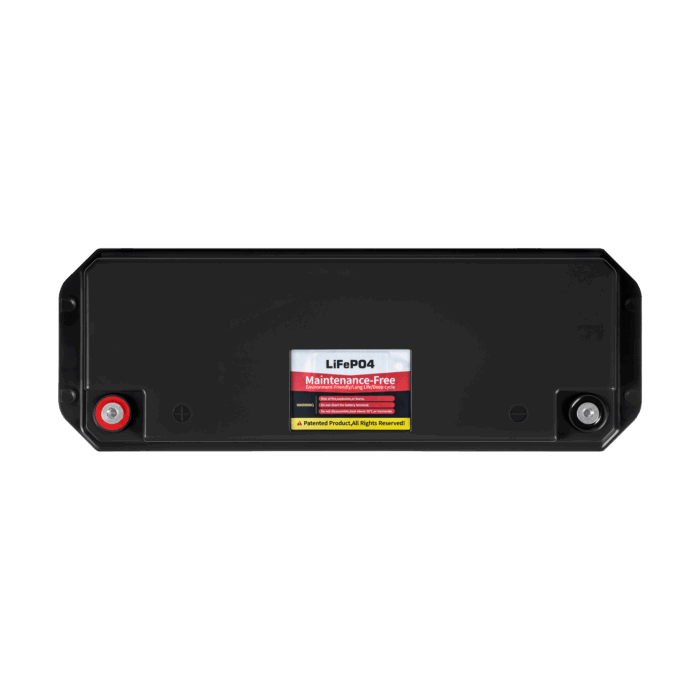 Акумулятор VIPOW BAT0495 LiFePO4 100Ah 25.6V з BMS - Зображення 2