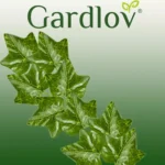 Штучний плющ Gardlov 50.4 м для декору інтер'єру