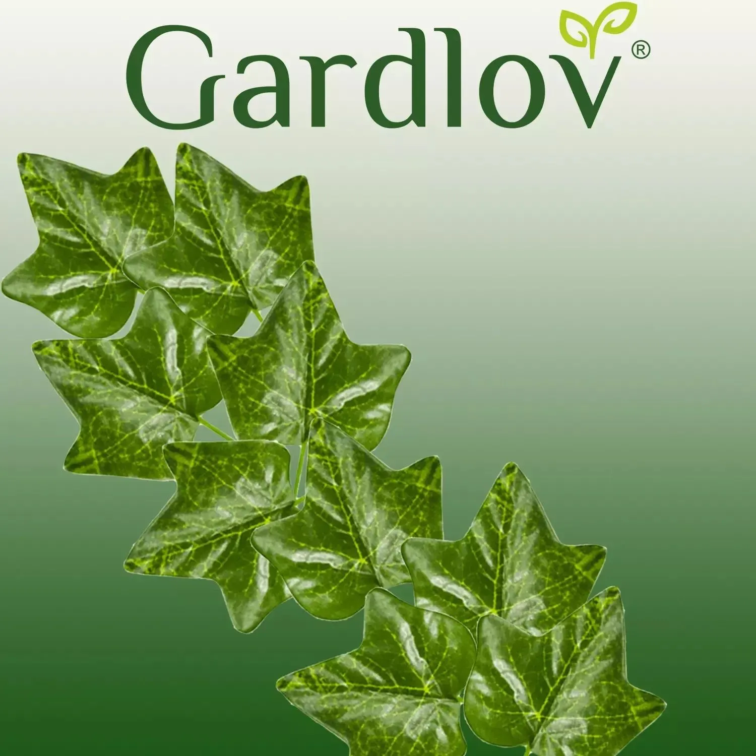 pol_pl_10107-10107_11 Штучний плющ Gardlov 50.4 м для декору інтер'єру - Зображення 1