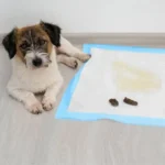Гігієнічні пелюшки Purlov 60x60 см. 50 шт. - Зображення 13