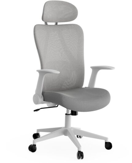 Офісне крісло SENSE7 Noxo White/Grey